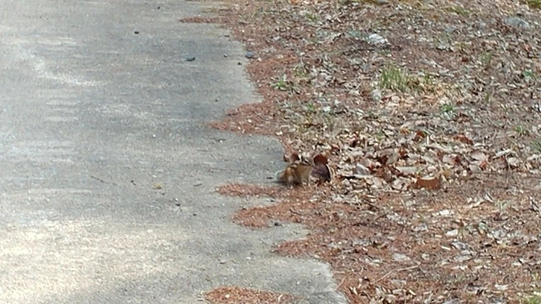 99B769485AC8A2191339B7