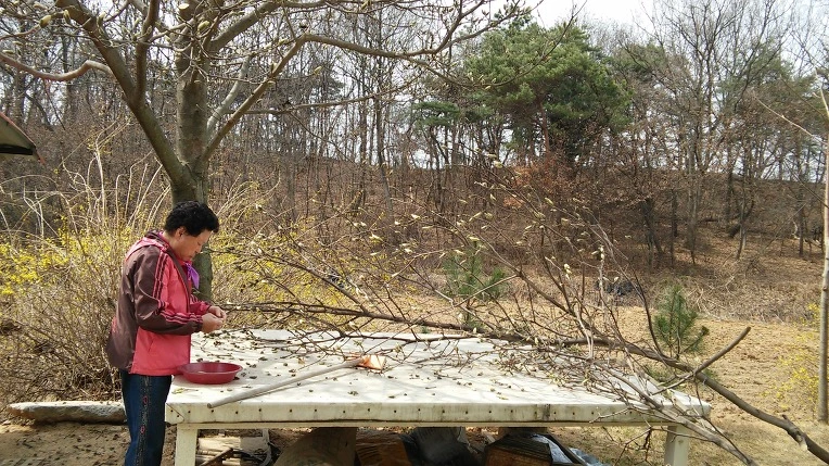 2252874056FC96EB047486