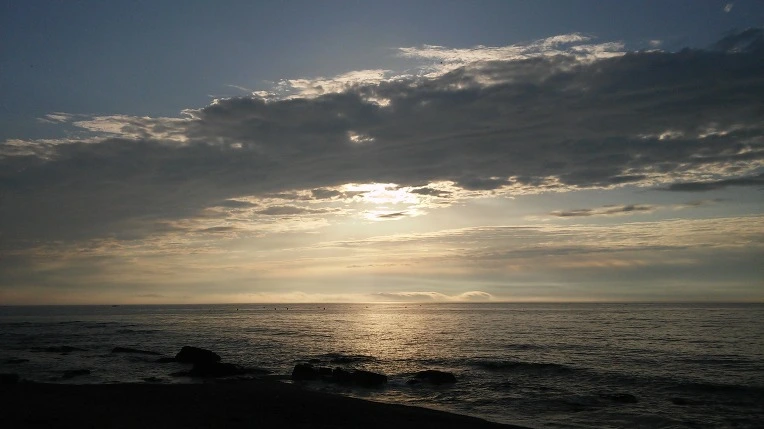 215BFD3D5949987613B3A6