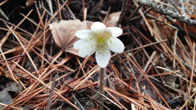 272CB13B58E5DE3821778F