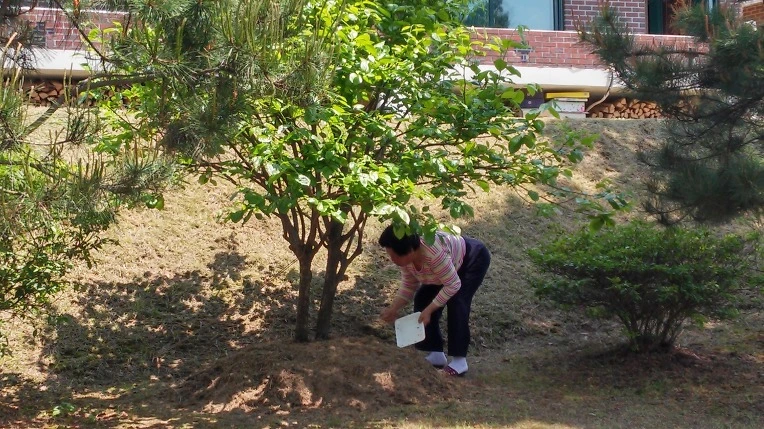 251B9A33573A59D41ADA45