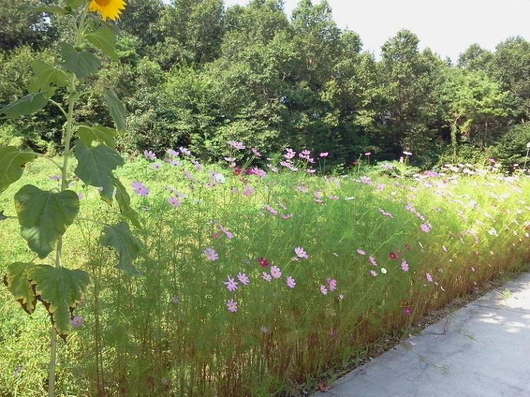 197F93344E66D89B2B54B2