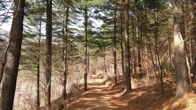 253C534E56E9E4F90F40FD