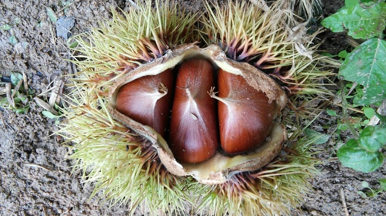 2575EF3757D4AE3A2D5C43