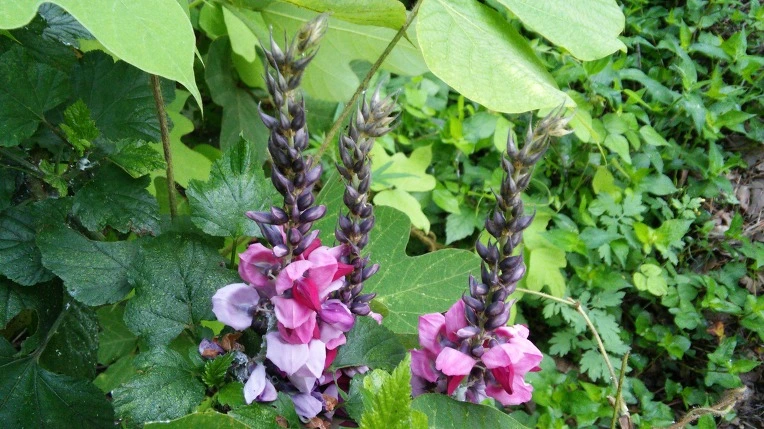 26085A4D57982E6932C699