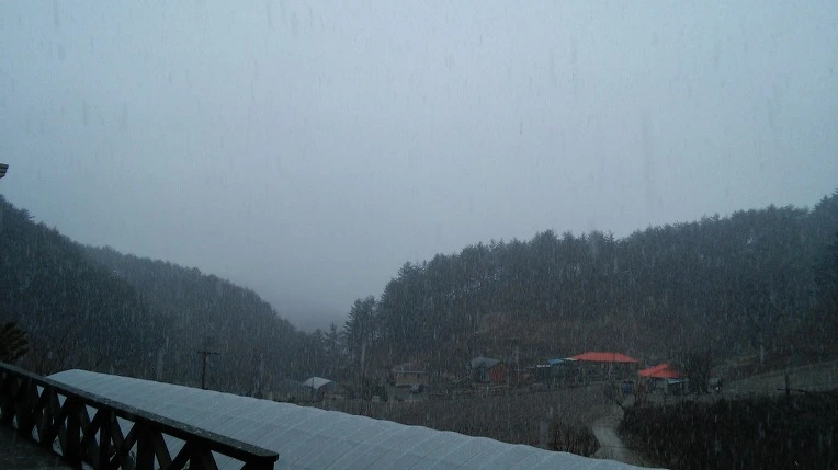 262ECF3558DF026A207C17