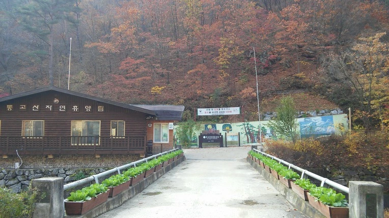 9939E7335A0ED1051A5FE8