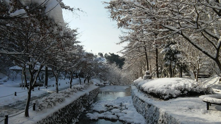 24037244566120E90CD45D