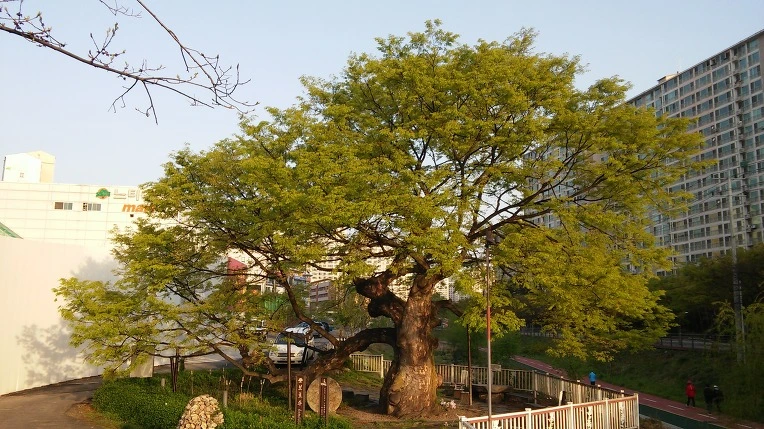 27193B4C5717E92A22FAD4