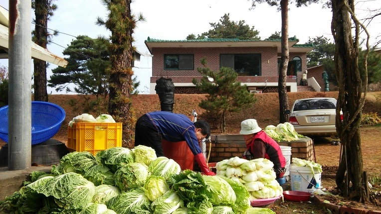 26567B4856499A6C373707