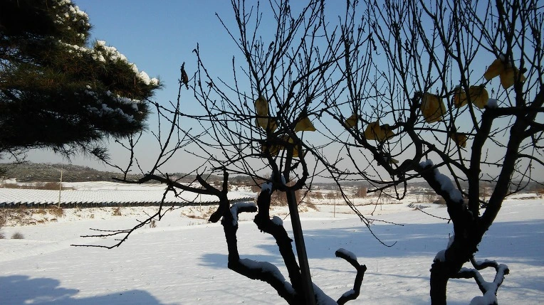 261E8C3C588403C503013B