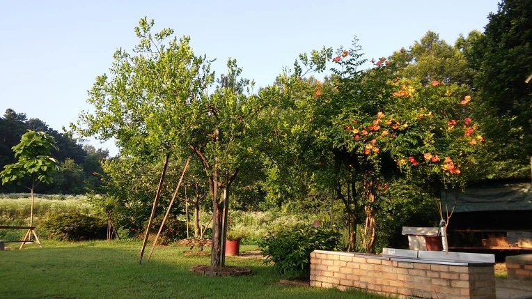 2178F04E576F80251A905E