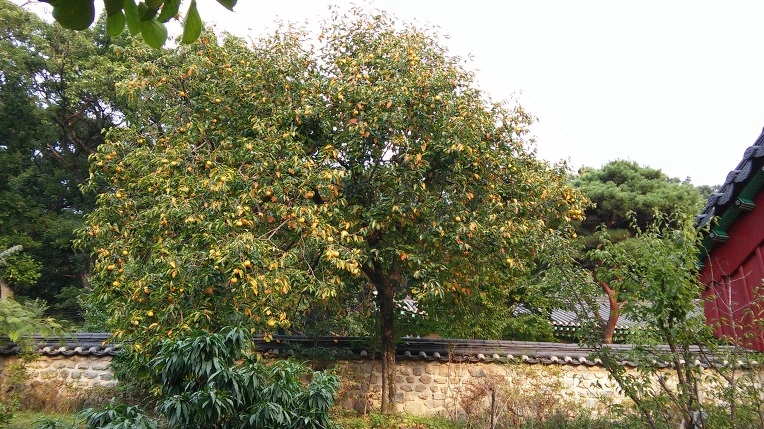 2220FD45560FBD04086A19