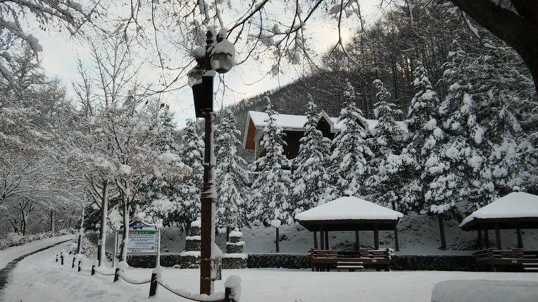 272280465660CFCF247B96