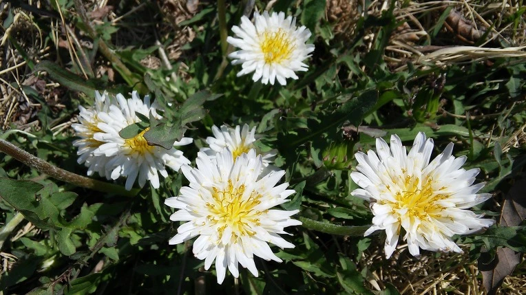 2647BD4A570366D315CED1