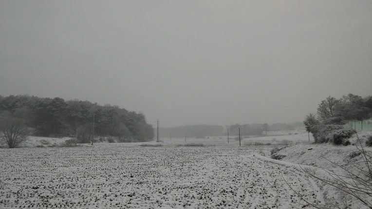 2335824056D10AED29FE73