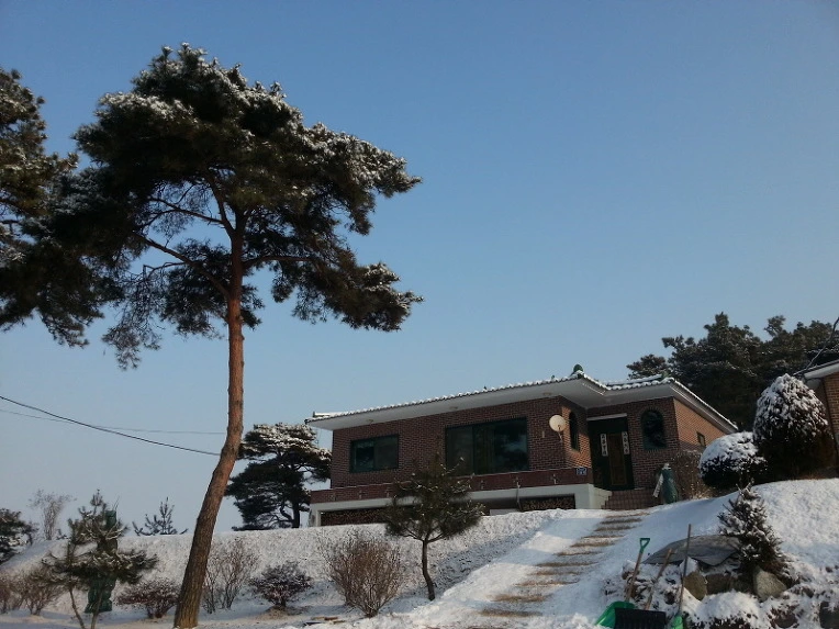 216D894C547F945E15BB64