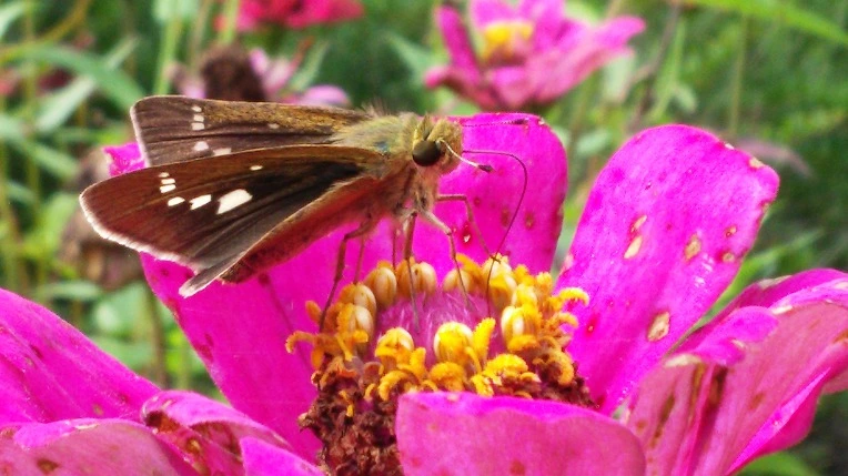 99EE2D33599E1B401E5465