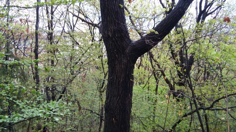 24224F4E5712CCAA3067F4