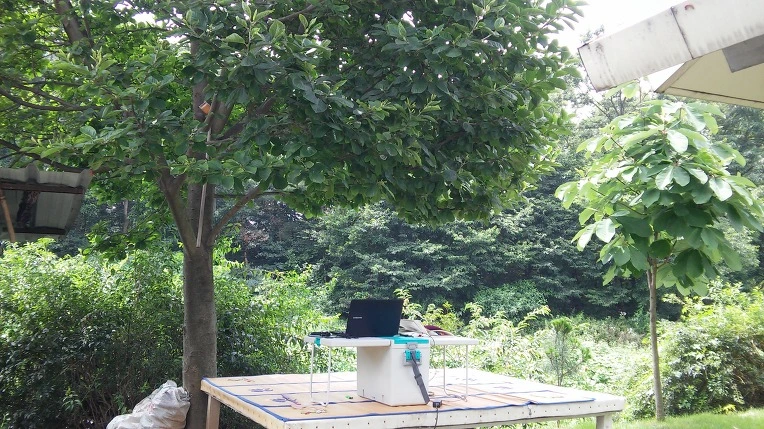 2639923A578C5D8533BD57