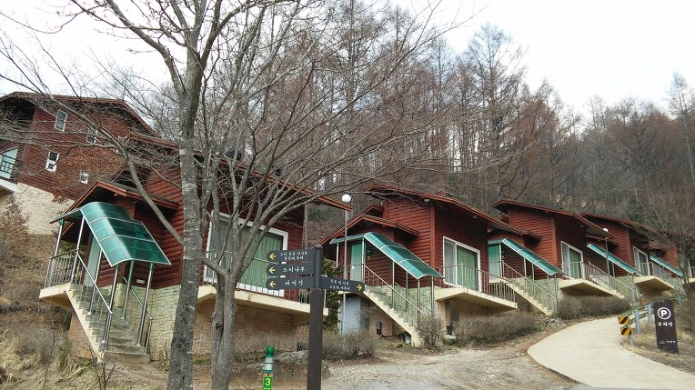 250ED24156F4DC8428CE36