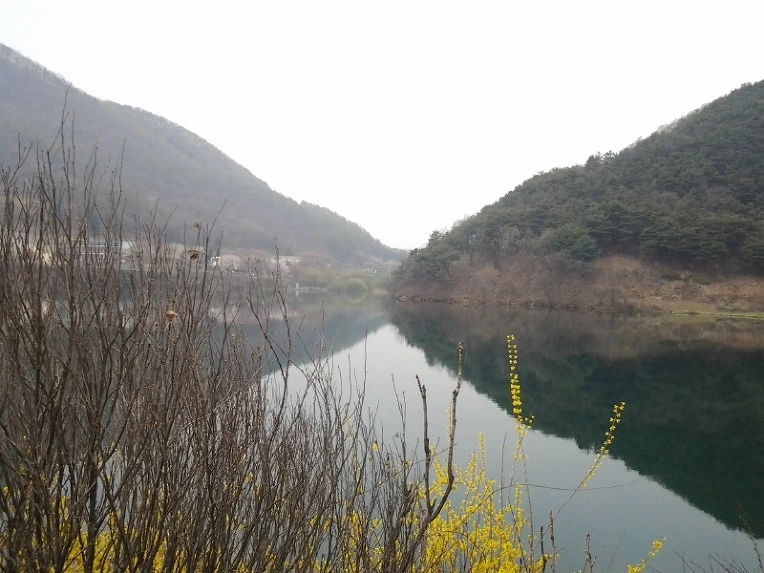 2406CC4B56946D191B799F