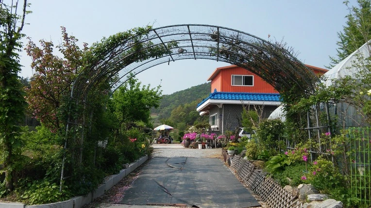 2704D9475724692D2CCAAE