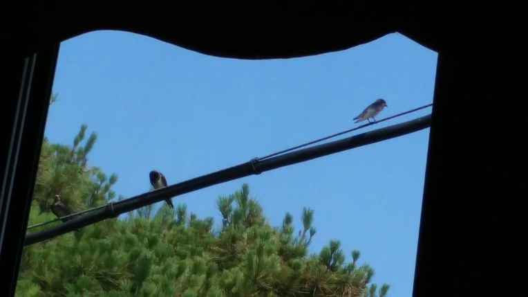 99DE65465D467B263186C8