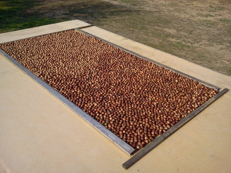 2352613C5424185709E12D