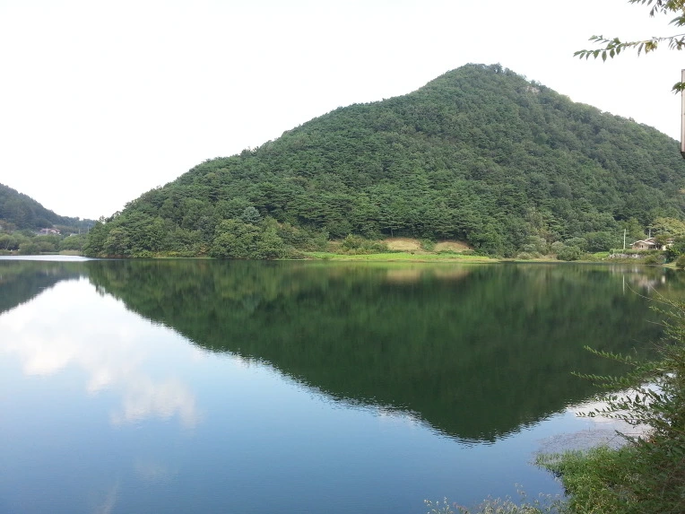 2425DD4A569472A805A19B