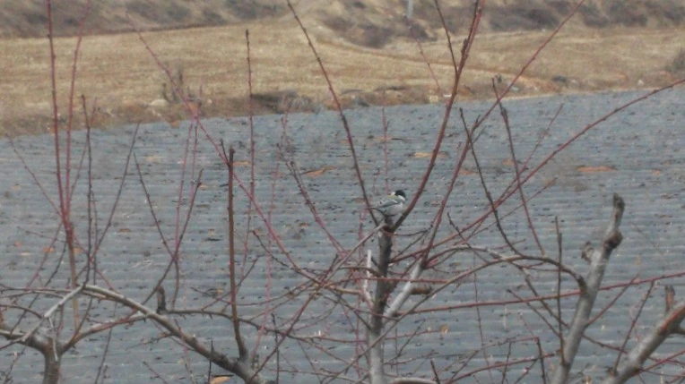 244A414556C6C20E296049