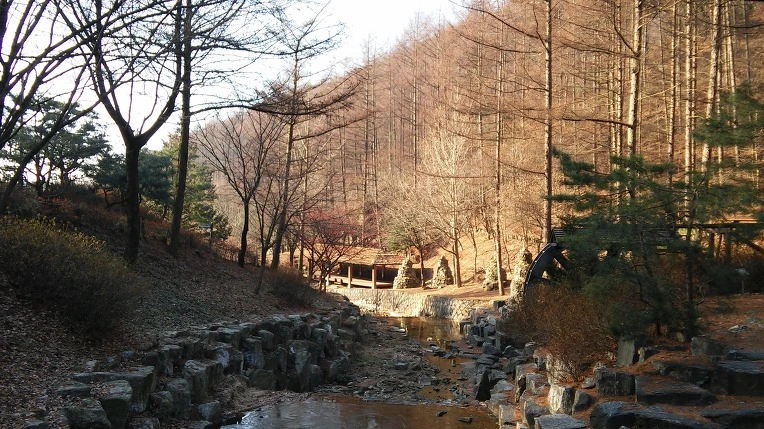 217C2438568CF971264107