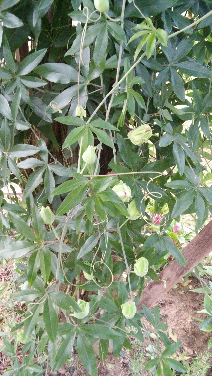 2779DF4E57B936CD15BC07