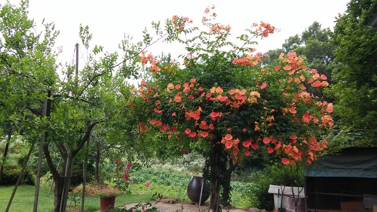 2132924F57BA77932BFA77