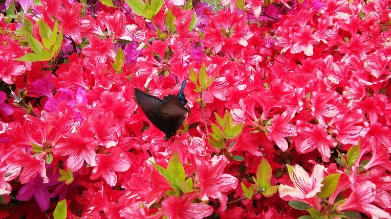 224C7C34554DA11F232329