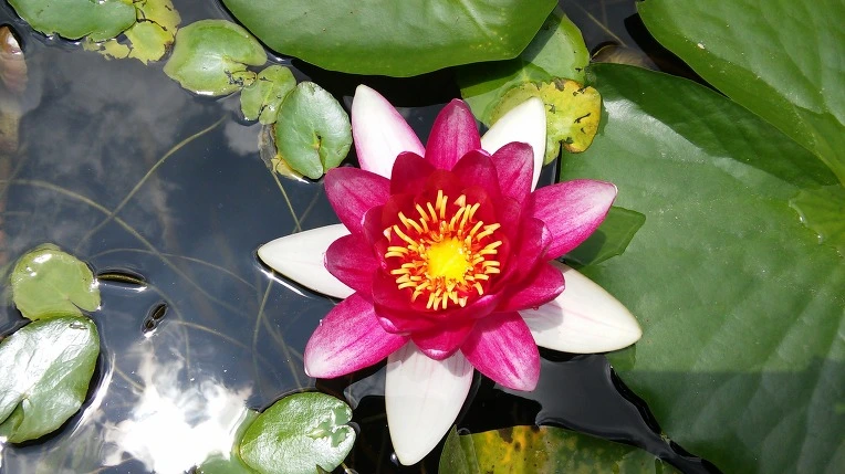 247B26415593AB5926A8FB