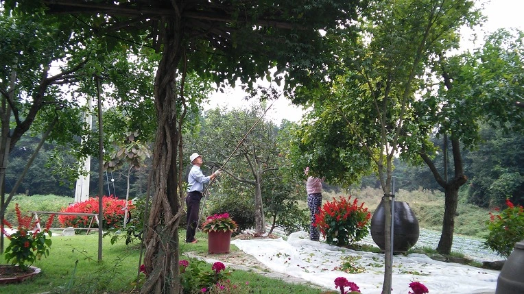 24136C4357E795F40F50E5