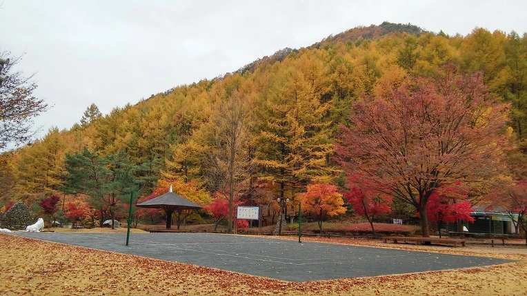 252C293B563D84681B81D0