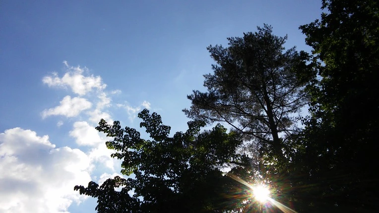 2408874059329721212D98