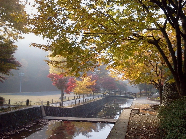 275F1235542418AC260CCE