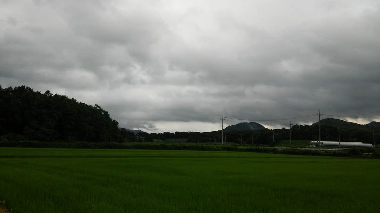 275C2E45578C5B0B237918