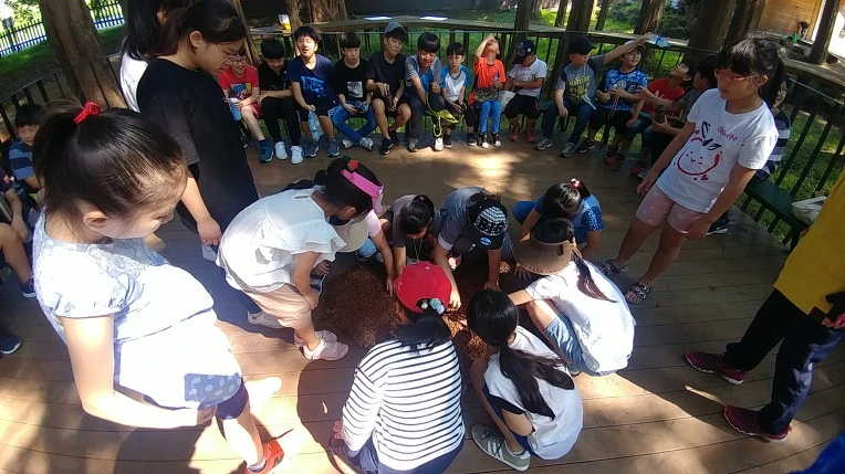 997FC5465B4D8E74121AE5