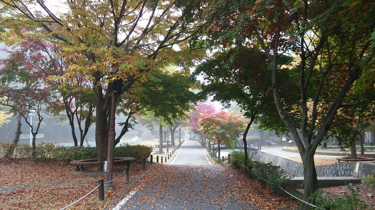 2773F3355625E55F2B0F0C