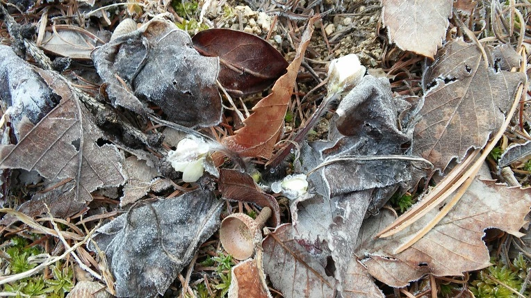 236F143A56F721BE206C17