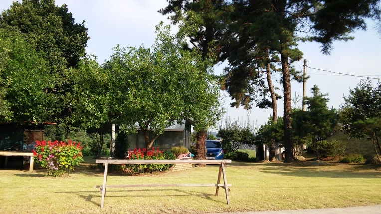 99442E3359A7DC50101839