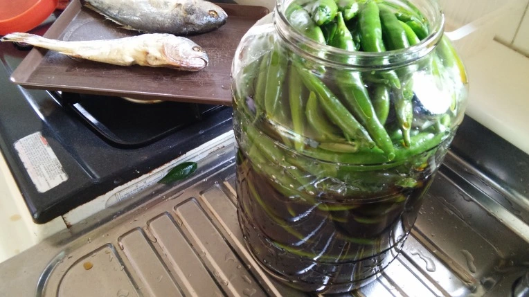 2119E73557E767D531FF49