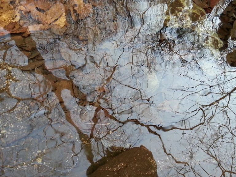 2138EE39532E313E3181AD