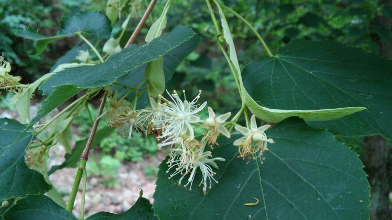 2623EC4259596C1E2579F0