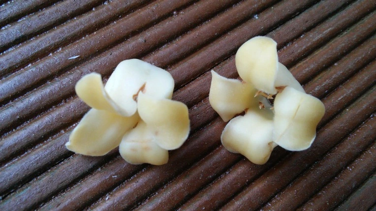 2265074F597136F43B08E3