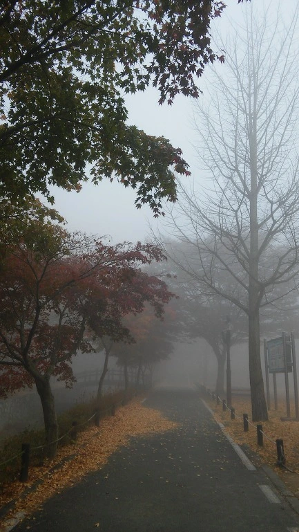 22736A3656399E1E1BEB73